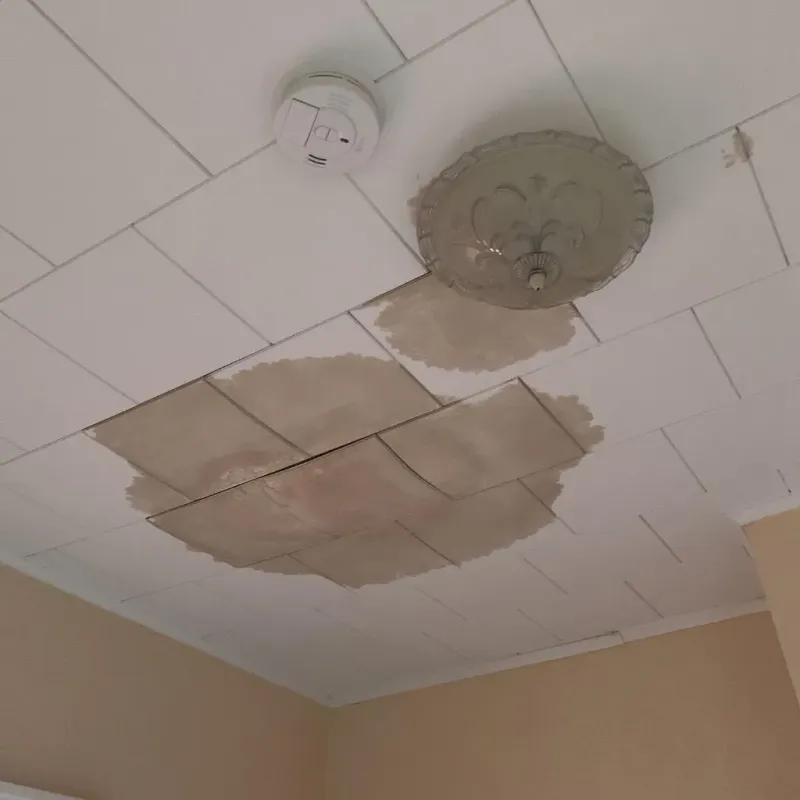 Ceiling Water Damage Repair in East Shoreham, NY